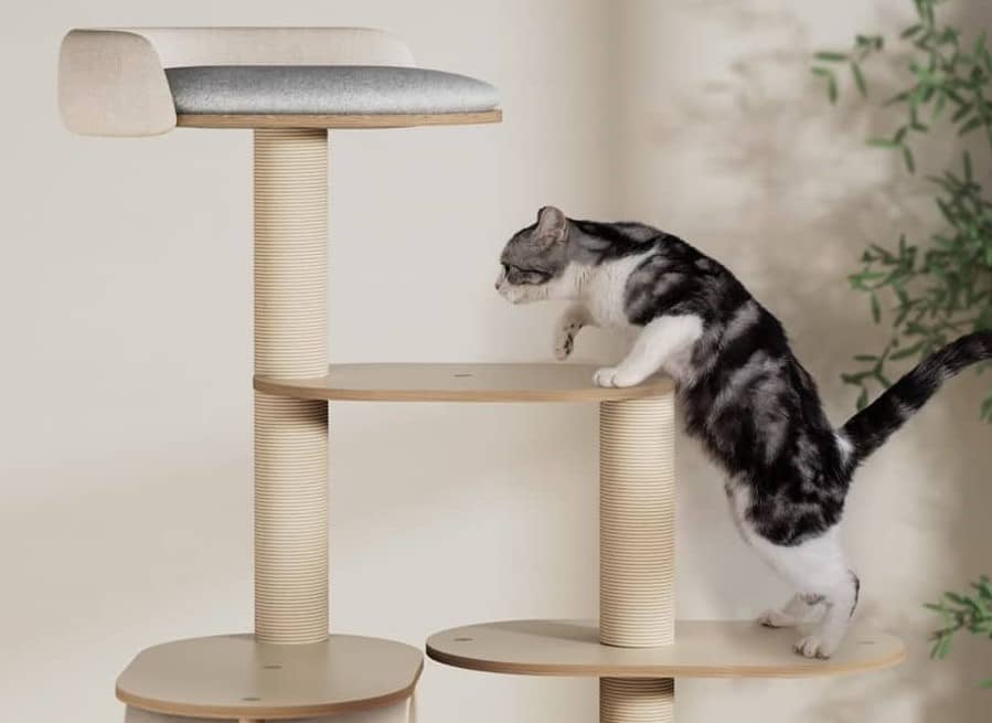arbre-a-chat