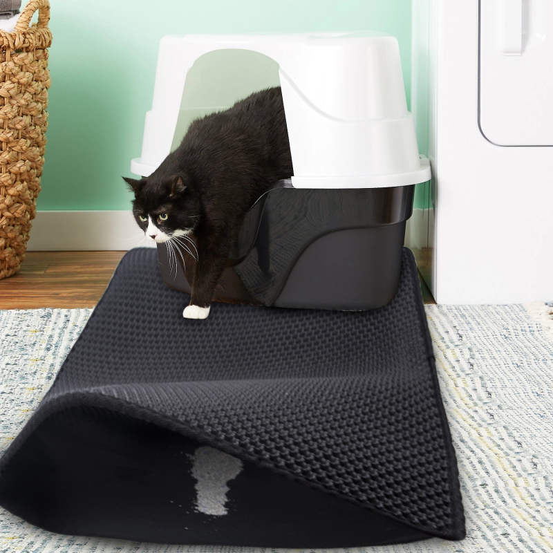 litiere-chat-hygiene-chat