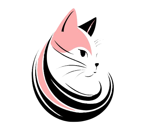 Chat Marche