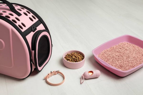 arrangement-sac-rose-pour-animaux-compagnie