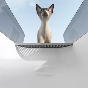 dimensions-bac-litiere-chat-adulte