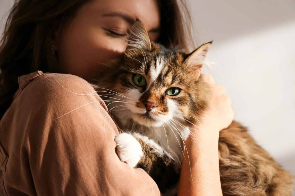 femme-et-son-chat